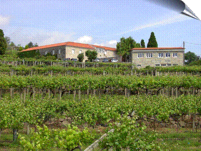 Pazo de Almui�a